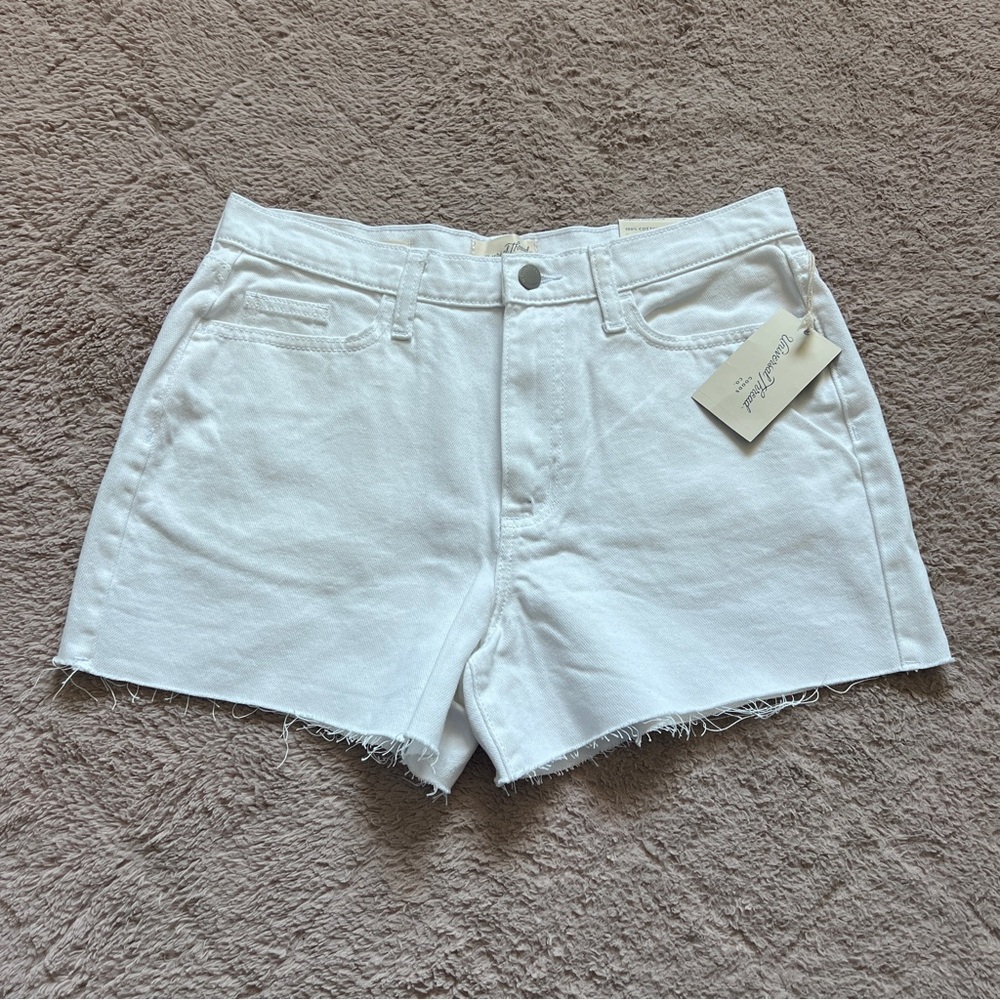 NWT Universal Thread Cotton 4" Inseam‎ Denim Boyfriend Shorts Minimalist Size 6